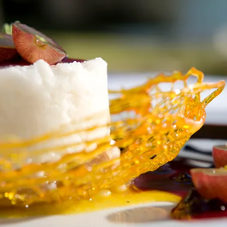 度假村 洛德斯宫殿酒店